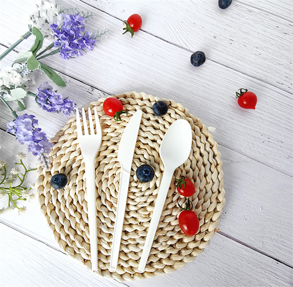 What is truly environmentally friendly tableware