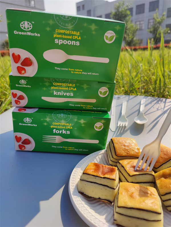 What is the significance of promoting biodegradable tableware? What are the green concepts